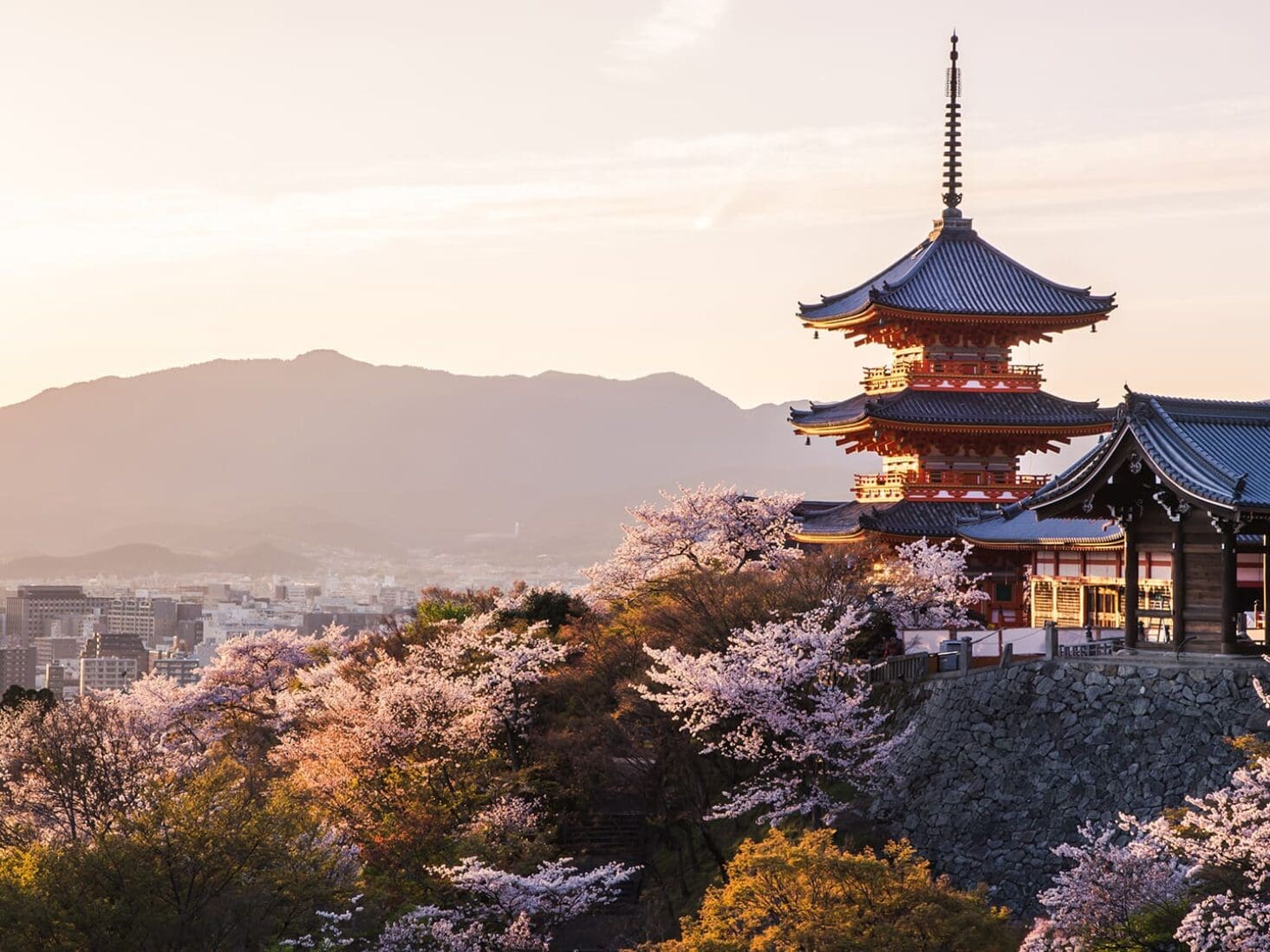 japan-city-guide-hero-1465×1099-c-center