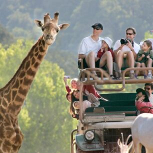 ویتنام-کامبوج