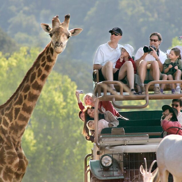 ویتنام-کامبوج