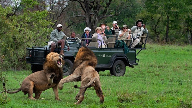 za_knp_sabi_sabi_game_drive_carousel_4e8d55b6cc